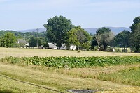 DSC09088