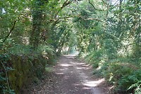 DSC09086