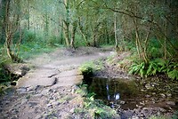 DSC09134