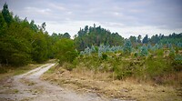 DSC09132