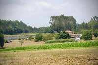 DSC09185