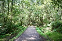 DSC09184