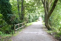 DSC09182