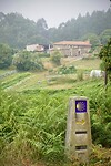 DSC09176