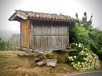 DSC09175
