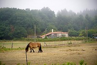 DSC09174