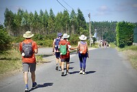 DSC09203