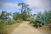 DSC09197