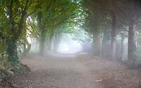 DSC09188
