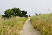 DSC04022