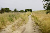 DSC04018