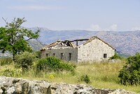 DSC04056