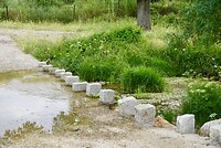 DSC04033
