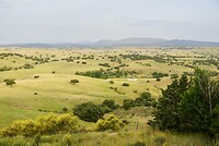 DSC04032