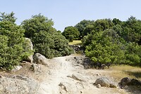 DSC04053