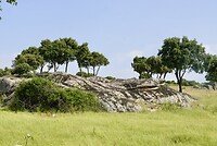 DSC04052