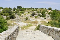 DSC04066