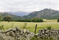 DSC04081