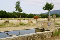 DSC04084