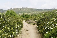 DSC04087