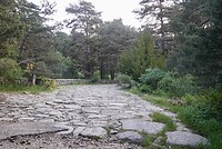DSC04105