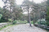 DSC04106