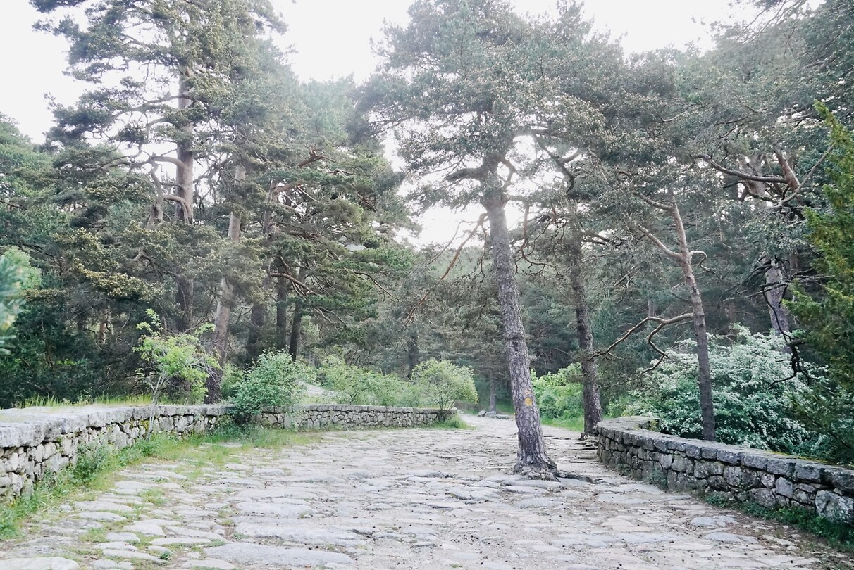 DSC04106