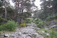 DSC04107