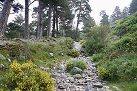 DSC04108