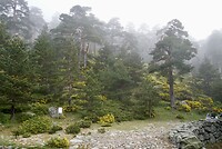 DSC04117