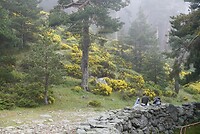 DSC04118