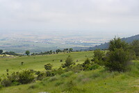DSC04131