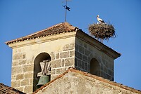 DSC04248