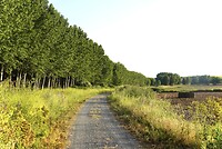 DSC04254