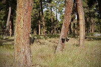 DSC04261