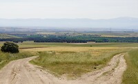 DSC04269