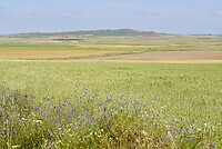 DSC04273