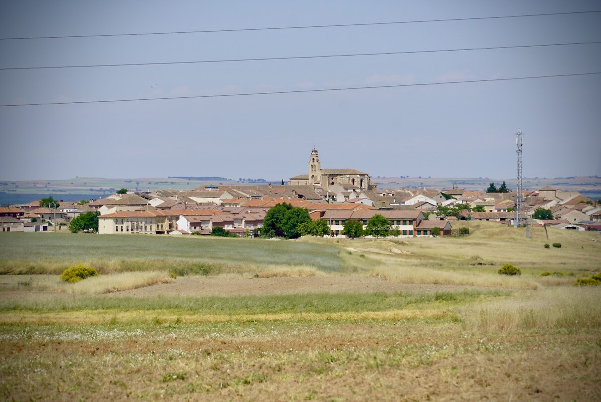 DSC04274