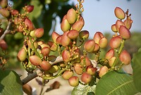 DSC04358