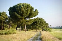 DSC04357