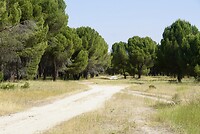 DSC04368