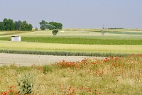 DSC04362