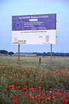 DSC04391