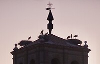 DSC04387