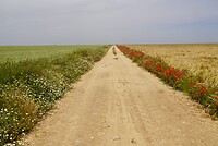 DSC04481
