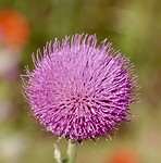 DSC04463