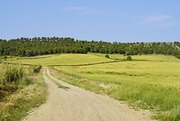 DSC04451