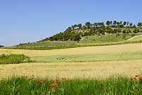 DSC04456