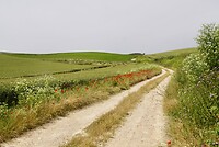 DSC04479