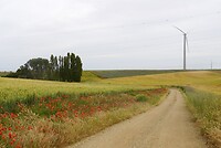 DSC04511